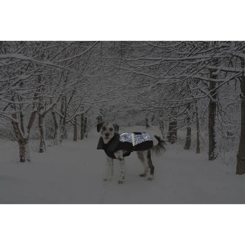 Suņa mētelis Dog Gone Smart Melns 55 cm
