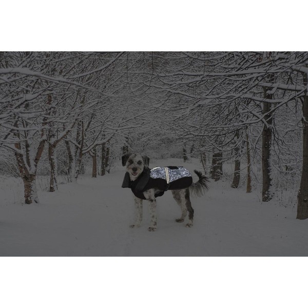 Suņa mētelis Dog Gone Smart Melns 60 cm