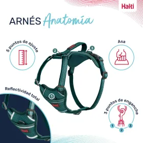 Dog Harness Company of Animals Turquoise XS 20-32 cm