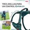 Suņu drošības siksna Company of Animals Tirkīzs M 35-55 cm