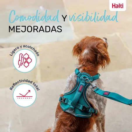 Dog Harness Company of Animals Turquoise XL 50-78 cm