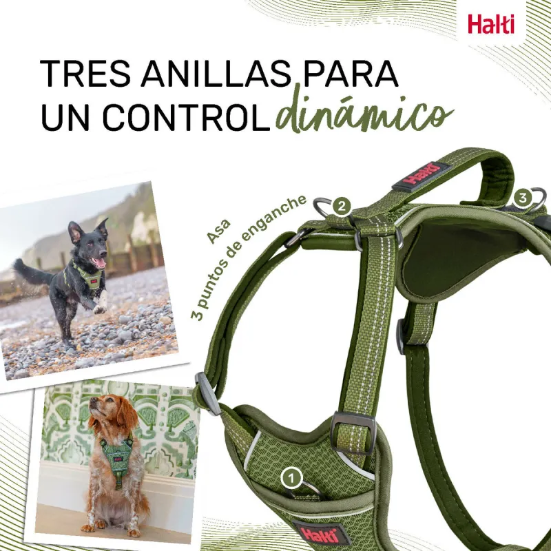 Упряжь для собак Company of Animals Зеленый XS 20-32 cm