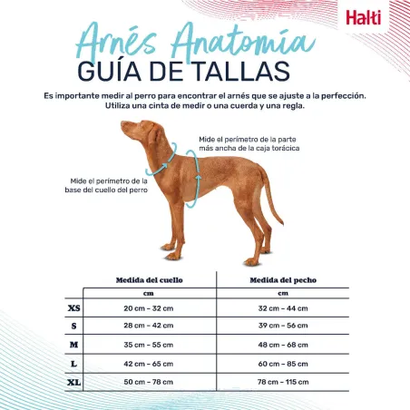 Koera rakmed Company of Animals Roheline XS 20-32 cm