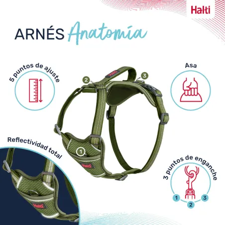 Dog Harness Company of Animals Green M 35-55 cm