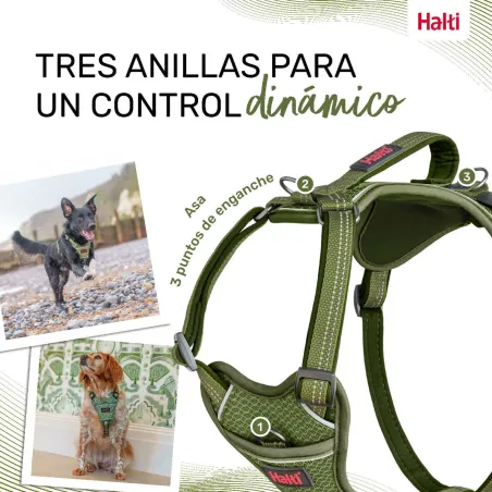 Koera rakmed Company of Animals Roheline M 35-55 cm