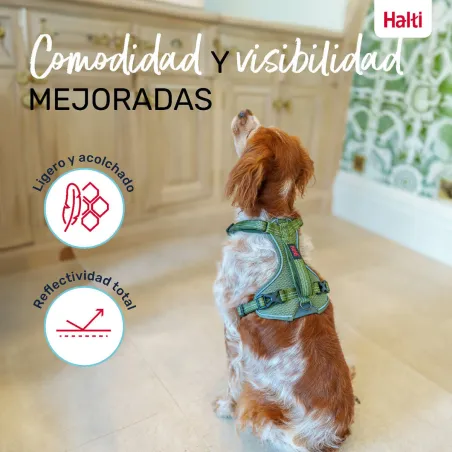 Suņu drošības siksna Company of Animals Zaļš L 42-65 cm