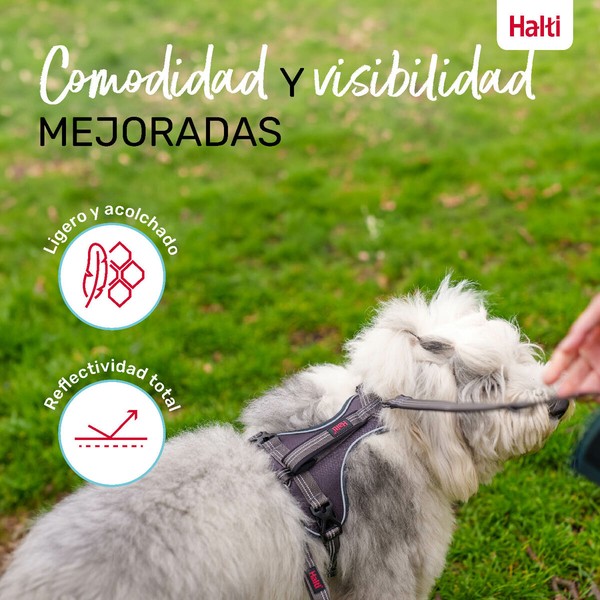 Dog Harness Company of Animals Grey XS 20-32 cm
