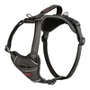 Suņu drošības siksna Company of Animals Pelēks S 28-42 cm