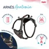 Suņu drošības siksna Company of Animals Pelēks S 28-42 cm