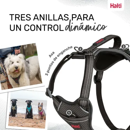 Dog Harness Company of Animals Grey M 35-55 cm