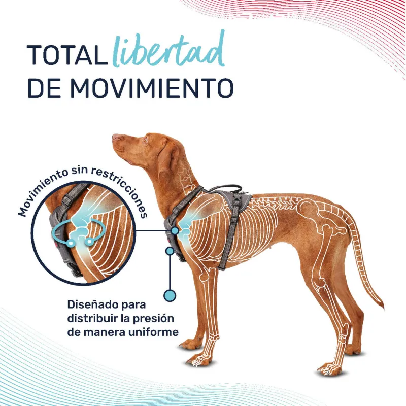 Dog Harness Company of Animals Grey M 35-55 cm