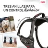 Dog Harness Company of Animals Grey XL 50-78 cm