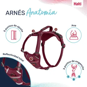 Dog Harness Company of Animals Burgundy XS 20-32 cm