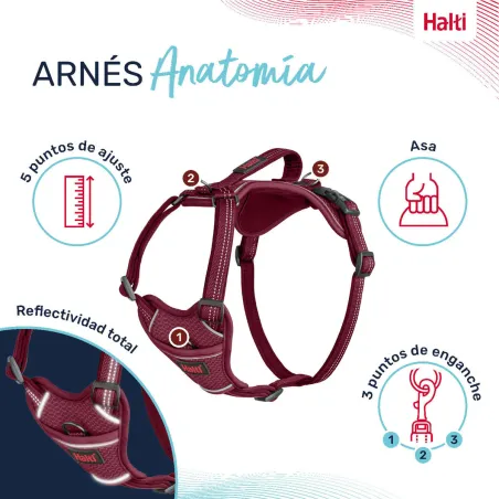 Dog Harness Company of Animals Burgundy M 35-55 cm