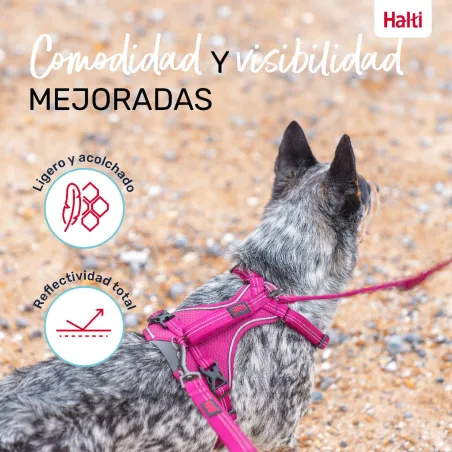 Dog Harness Company of Animals Burgundy M 35-55 cm