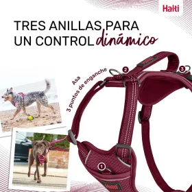 Dog Harness Company of Animals Burgundy L 42-65 cm