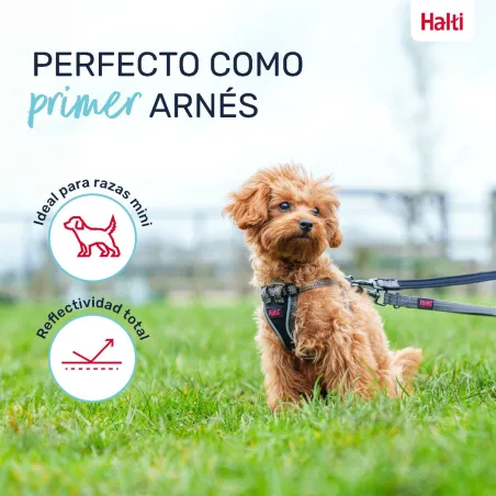 Suņu drošības siksna Company of Animals Pelēks XXS 22-30 cm