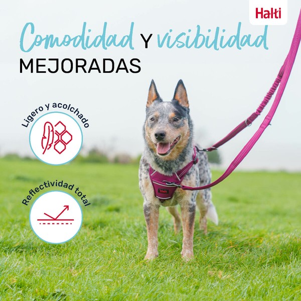Поводок для собак Company of Animals Бордовый S
