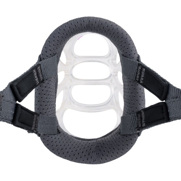 Muzzle Company of Animals Transparent 3