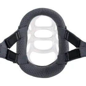 Muzzle Company of Animals Transparent 4