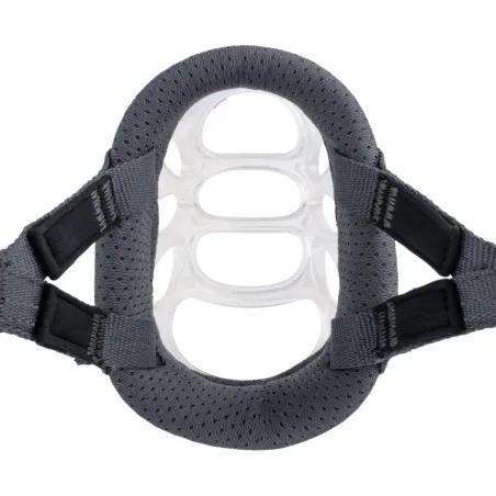 Muzzle Company of Animals Transparent 4