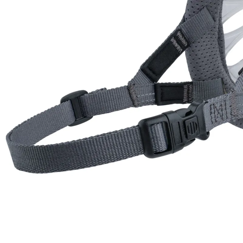 Muzzle Company of Animals Transparent 4