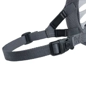 Muzzle Company of Animals Transparent 5