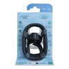 Muzzle Company of Animals Transparent 2