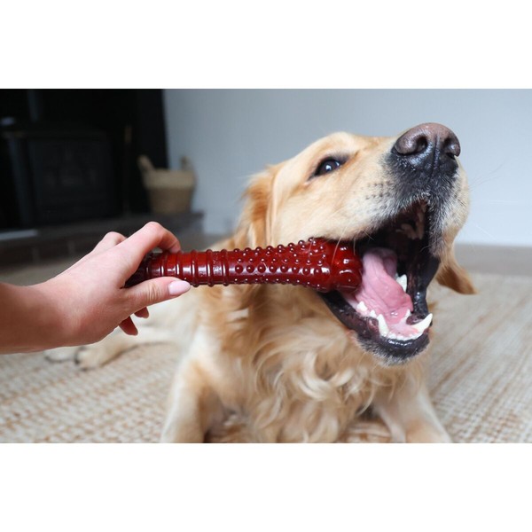 Luu Nylabone Pruun Bacon XL