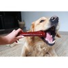 Luu Nylabone Pruun Bacon XL