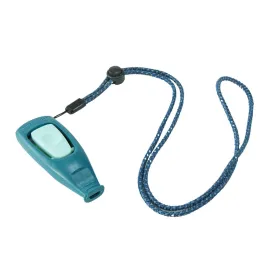 Dog Harness Coachi