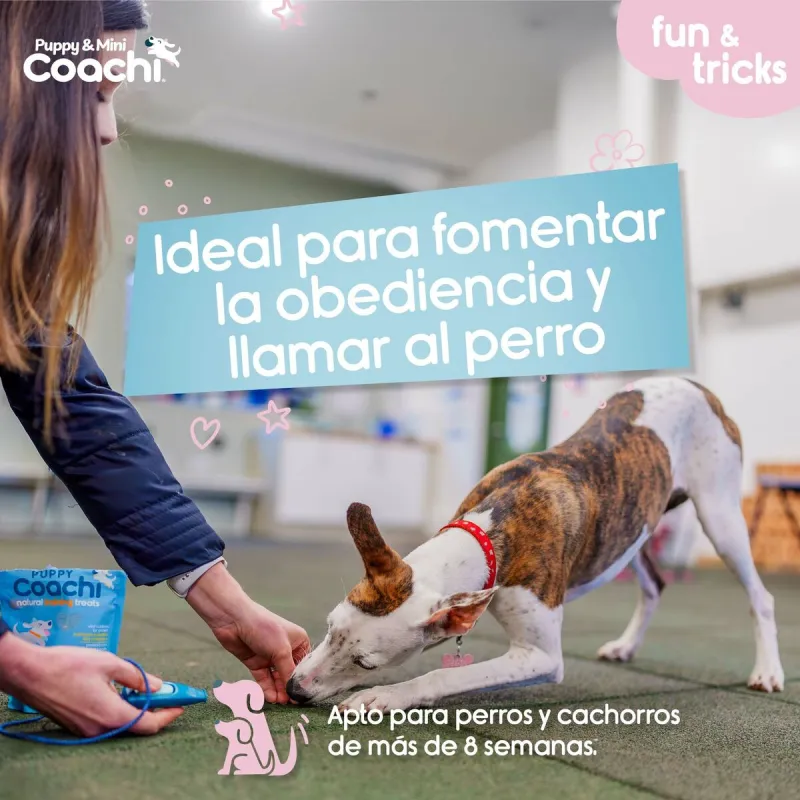 Dog Harness Coachi