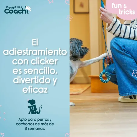 Dog Harness Coachi