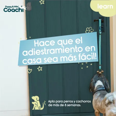 Koera rakmed Coachi
