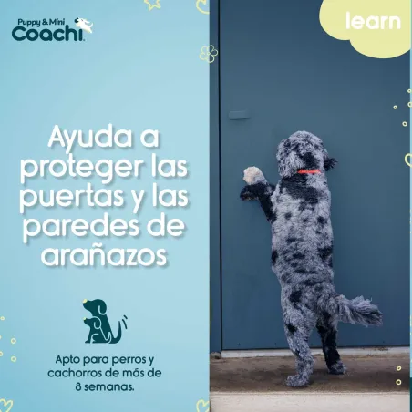 Koiran valjaat Coachi