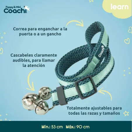 Koera rakmed Coachi