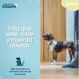 Training lead Coachi Puppy & Mini Green 2,5 m