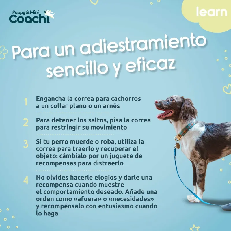 Treeningrihm Coachi Puppy & Mini Roheline 2,5 m