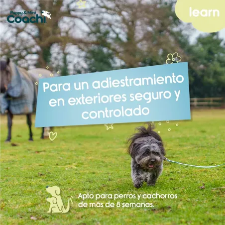 Training lead Coachi Puppy & Mini Green 5 m