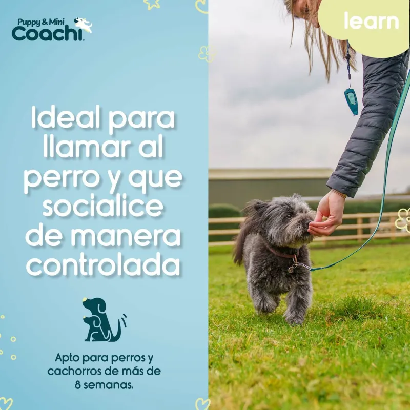 Training lead Coachi Puppy & Mini Green 5 m