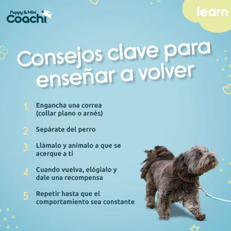 Training lead Coachi Puppy & Mini Green 5 m
