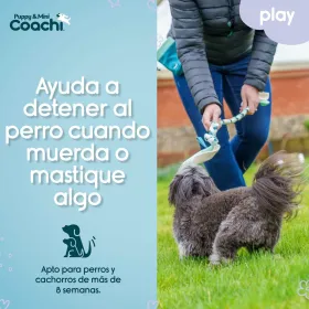 Dog Harness Coachi
