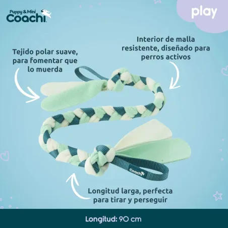 Šuns pakinktai Coachi