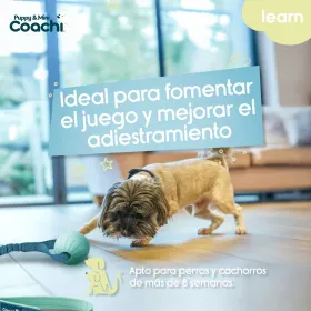 Dog Harness Coachi