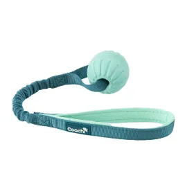Dog Harness Coachi