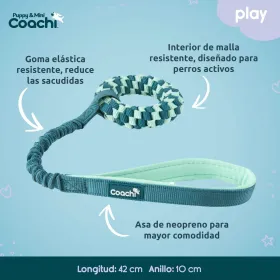 Dog Harness Coachi