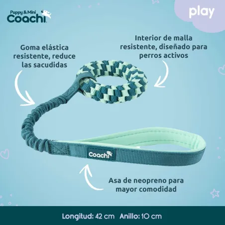 Koiran valjaat Coachi
