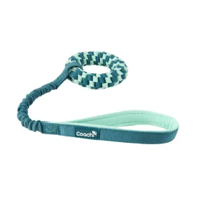 Dog Harness Coachi