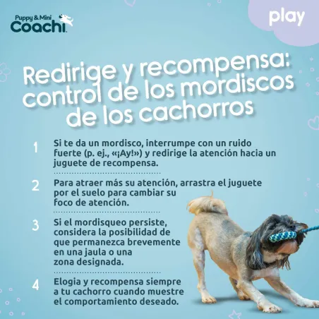 Dog Harness Coachi