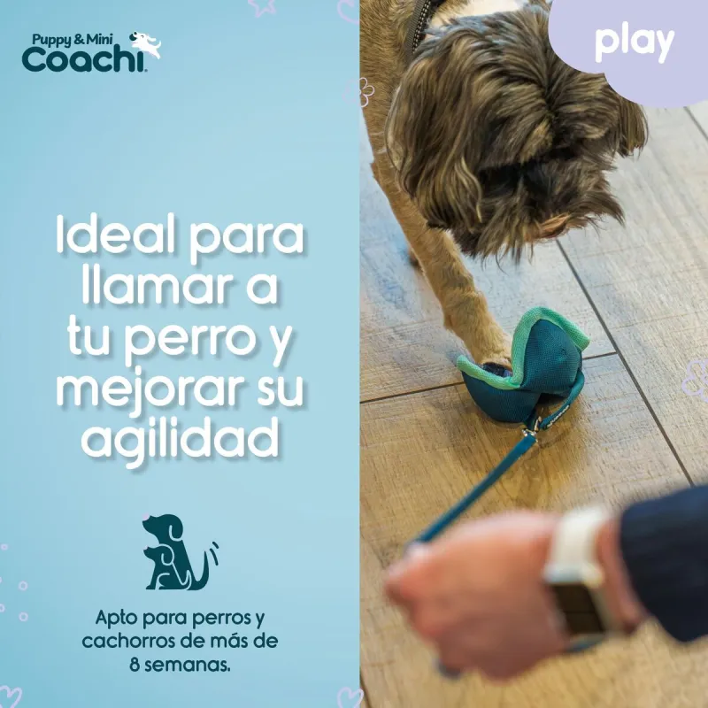 Dog Harness Coachi